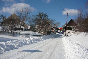  (© Lada Hašková, 01/2010)