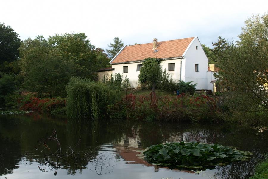 Radim