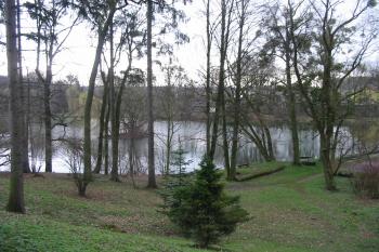 zámecký rybník od západu (© D Dohňanský, 04/2015)