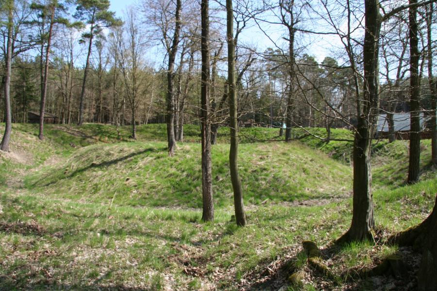 Doubravka