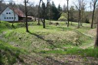 Doubravka