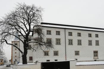  (© Alena Volná, 1/2010)