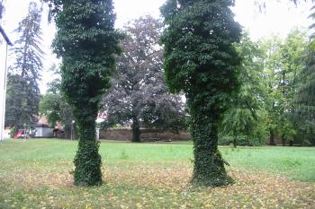 zám.park na jižní straně (© D Dohňanský, 07/2015)