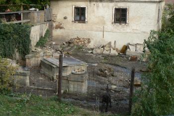 (© Prudký Martin, 10/2009)