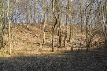  (© Jan Švejkar, 04/2010)