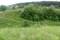 Frymburk