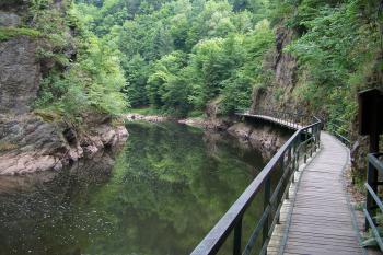  (© Michal Brůža, 07/2010)