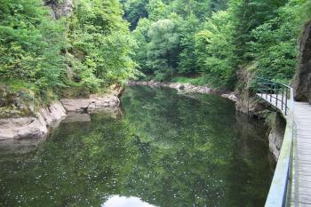  (© Michal Brůža, 07/2010)