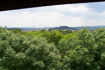 Žamberk - Tyršova rozhledna (© Ivo Rozehnal, 07/2010)