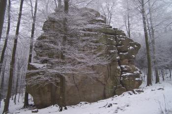  (© Michal Brůža, 12/2010)