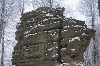  (© Michal Brůža, 12/2010)