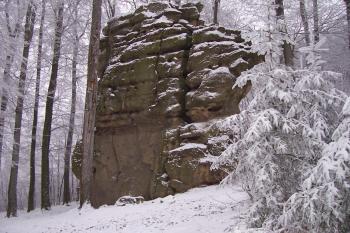 Kozel, přírodní památka (© Martin Dynka, 01/2008)