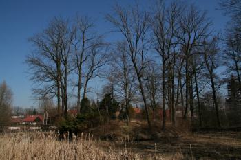 Pohled na tvrziště ( © Petr Nožička 03/2012)