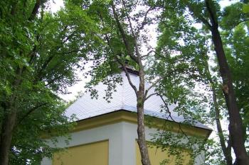 Žamberk - kaple sv. Rozálie (© Ivo Rozehnal, 07/2010)