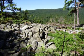 kamenné moře na vrcholu Suchého vrchu (© Zuzana Holasová, 07/2010)