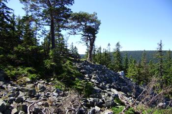 na vrcholu Suchého vrchu (© Zuzana Holasová, 07/2010)