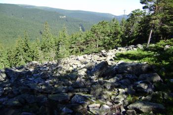 výhled ze Suchého vrchu na Quinburg (© Zuzana Holasová, 07/2010)