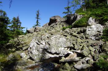 Suchý vrch - vrchol (© Zuzana Holasová, 07/2010)