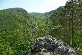 Zřícenina hradu Uhrovec,pohled z hradu na krajinu (©aleshwarrior, 05/2012)