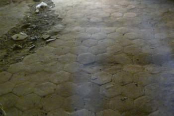 zbytky dlažby (© Alena Volná, 06/2012)