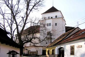  ( © Luděk Pitter 04/2004)