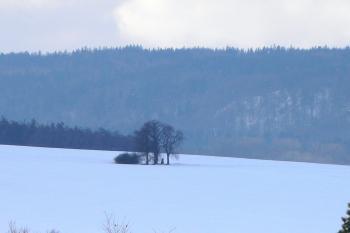  (© Prudký Martin, 02/2010)