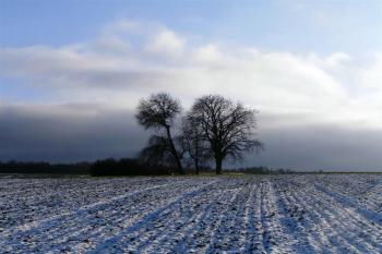  (© Prudký Martin, 01/2016)