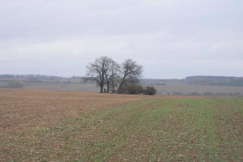  (© Prudký Martin, 10/2008)