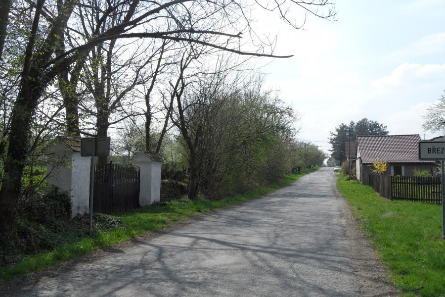 Březová