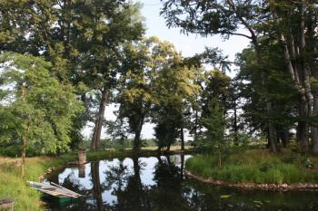 Jižní část ostrůvku s tvrzištěm od východu ( © Ivan Grisa 07/2011)