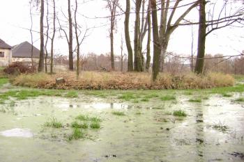 tvrziště na ostrůvku (© Daniel Šmidrkal, 11/2009)