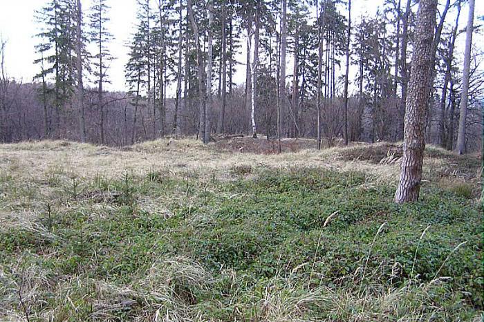trhová ves s tvrzí Frýdberk-Lipina