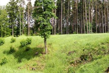  ( © Jan P. Štěpánek 06/2005)