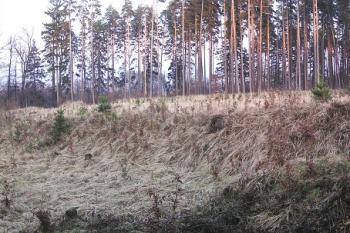 pohled na západní konec zaniklé trhové vsi ( © Jan P. Štěpánek 02/2008)