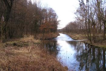 k říčce Olešné spadají prudce svahy lokality na severovýchodě a severu ( © Jan P. Štěpánek 02/2008)