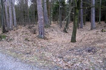 terénní náznak bývalého příkopu a valu lokality ZSO na jihozápadě ( © Jan P. Štěpánek 02/2008)