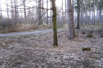 novodobá silnice přerušuje pozůstatek valu a příkopu na jihozápadě lokality ( © Jan P. Štěpánek 02/2008)