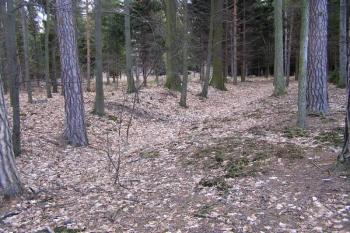 již velmi setřelý příkop táhnoucí se podél jihozápadní části lokality ( © Jan P. Štěpánek 01/2008)
