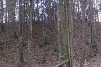 pohled od řeky Olešné na vysoko položenou terasu z místem zaniklé trhové vsi ( © Jan P. Štěpánek 01/2008)