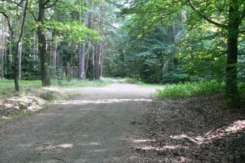 Cesta ke vsi Smrk (© Prudký Martin, 08/2010)