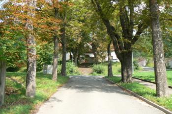 Alej (© Prudký Martin, 08/2010)