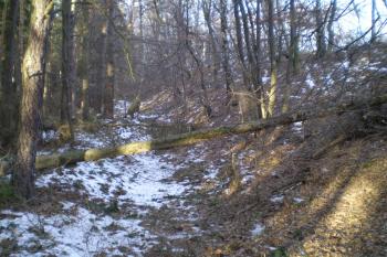 Příkop a val jižního předhradí (© Miloš Gracias, 01/2013)