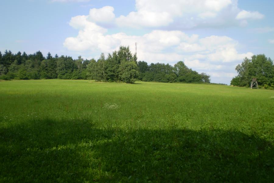 Křenov