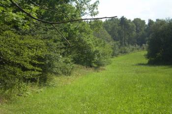 Pohled po valu jižního předhradí. (© Miloš Gracias, 08/2010)