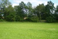 Křenov