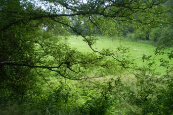 Pohled z valu hlavní akropole do jižního předhradí. (© Miloš Gracias, 08/2010)