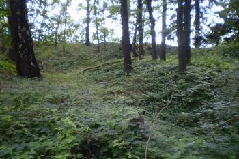 Napojení valu severozápadního předhradí na val hlavní akropole. (© Miloš Gracias, 08/2010)