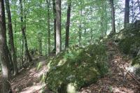 Janůvka