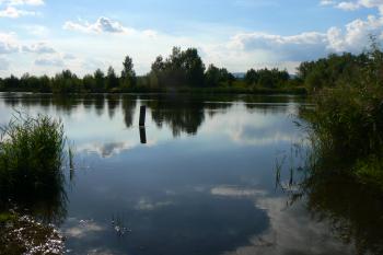 Oprám mezi Libkovicemi a M. Radčicemi (© Prudký Martin, 09/2010)