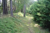 Bobrová